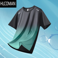 HLCOMAN速干T恤男士冰丝短袖夏季运动套装跑步上衣2025新款衣服宽松半袖