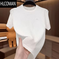 HLCOMAN2025新款男士短袖T恤夏季轻奢百搭体恤凉感高品质潮流半袖冰丝衫