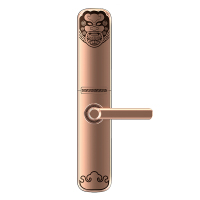 PINE WORLD/青松沃德 指纹锁家用防盗门智能门锁密码锁刷卡电子锁