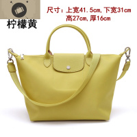 2020龙骧包尼龙女包斜挎包女小包包迷你饺子包小号百搭大容量大包 艾狄伊娃女斜挎包