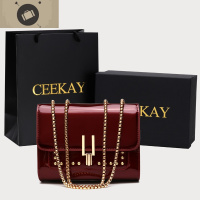 包包2020新款 高级感 洋气 质感 漆皮 女士 斜挎 钻镶 链条包女 艾狄伊娃女手包