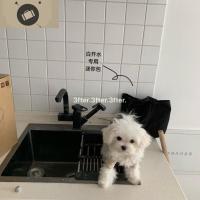 好看的粉迷你款 回馈价mini少女春天色系纯色休闲可爱帆布手提包 艾狄伊娃手提包