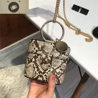 盒子包 迷你小包包女2019新款斜挎手提箱包mini复古蛇纹蛇皮女包 艾狄伊娃手提包