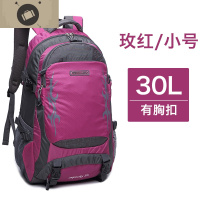 旅游双肩包旅行包女大容量休闲旅行背包男轻便运动防水户外登山包 艾狄伊娃