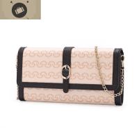 包包女包2020新款时尚长款手拿包女链条单肩斜挎小包钱包 艾狄伊娃女手包