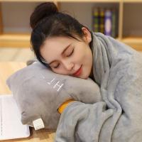 Sleepy Bear 抱枕被子两用女生可爱暖手捂空调被睡觉抱枕公仔靠枕办公室午睡毯