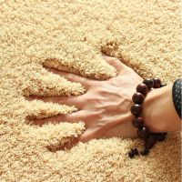 Sleepy Bear 加厚款羊羔绒地毯客厅茶几地毯卧室床边毯飘窗垫榻榻米垫卫浴门垫