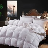 Sleepy Bear 羽绒被子被芯白鹅绒被冬天加厚保暖单双人春秋学生宿舍棉被家用