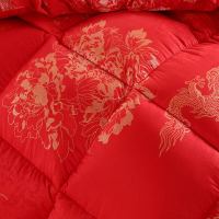 Sleepy Bear 大红色结婚被子双人被加厚保暖棉被冬被喜被芯礼品被春秋被丝棉被