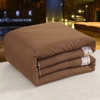 Sleepy Bear 新品美容床被套加被芯美容院专用推拿足疗按摩床被子被罩加厚冬被