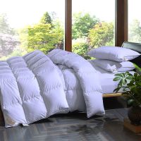 Sleepy Bear 羽绒被95白鹅绒被子加厚学生宿舍单双人冬被芯棉被床上用品