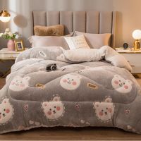 Sleepy Bear 羊羔绒被芯被子冬天加厚保暖ab双面绒冬季宿舍被褥学生单双人棉被