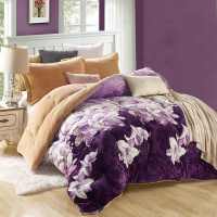 Sleepy Bear 加厚羊羔绒被子冬被保暖双面绒秋冬被芯单双人棉被春秋被芯法兰绒