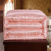 Sleepy Bear 夏季夏凉被空调春秋被冬被加厚单双人羽丝绒棉被子被芯4/6/8/10斤