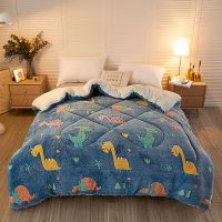 Sleepy Bear 雪花绒羊羔绒绒被子双面绒冬天棉被加厚保暖单双人学生被宿舍被芯