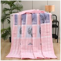 Sleepy Bear 水洗棉儿童夏凉被可宿舍空调机凉被水单人被子双人夏薄天季夏被洗