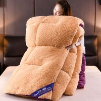 Sleepy Bear 加厚被子冬法兰绒冬被蓄热保暖学生宿舍单人棉被芯双人羊羔绒被子