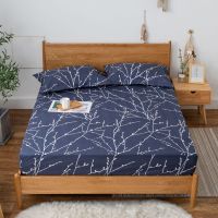 Sleepy Bear 五面防水床笠单件隔尿防水透气床罩套席梦思床垫保护套床单床垫套