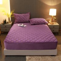 Sleepy Bear 水晶绒夹棉床笠单件加厚保暖防滑固定床罩床垫套席梦思保护套秋冬