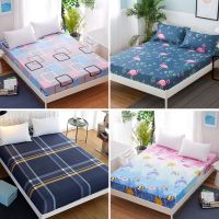 Sleepy Bear 床笠单件 防滑固定床罩床套1.8m1.5米席梦思床垫防尘保护床单全包