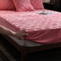 Sleepy Bear 水晶绒床笠单件夹棉加厚席梦思保护套珊瑚绒床罩防滑固定床垫套