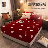Sleepy Bear 加绒加厚金绒床笠三件套床罩单件保暖床套席梦思保护套床上用品