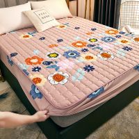 Sleepy Bear 夹棉防水床笠单件加厚床罩床垫套席梦思保护套床垫套子床单罩