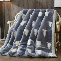 Sleepy Bear 送包装双层加厚拉舍尔毛毯秋冬季双人毯子午睡毯婚庆盖毯四季毯子