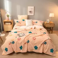 Sleepy Bear 毛毯盖毯珊瑚绒法莱绒毯子四季款午睡小被子薄款儿童盖被空调毛毯