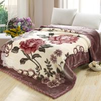 Sleepy Bear 12斤加厚双层立体剪花拉舍尔毛毯盖毯秋冬季婚庆双人被子10斤毯子