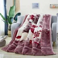 Sleepy Bear 双层加厚拉舍尔毛毯春秋冬季毛毯子结婚庆盖毯单双人学生午睡绒毯