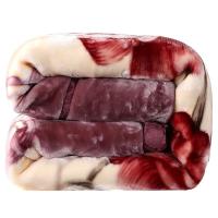 Sleepy Bear 拉舍尔毛毯双层加厚冬季婚庆盖毯秋冬被子珊瑚绒毯子单双人空调毯