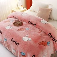 Sleepy Bear 夏天毛毯被子毛巾薄款床单人珊瑚法兰绒小毯子办公室午睡空调夏季