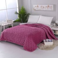 Sleepy Bear 水晶绒毛毯女加厚保暖法兰绒床单纯色双层绒毯双人床冬季床盖毯子