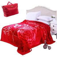 Sleepy Bear 拉舍尔毛毯双层加厚秋冬季婚庆双人毯子学生床盖毯毛绒毯婚庆毛毯