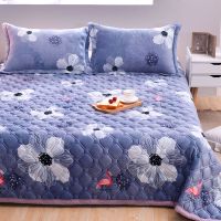 Sleepy Bear 法兰绒毛毯珊瑚绒毯子床单单人双人儿童冬天毛毯加厚夹棉防滑盖毯