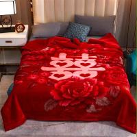 Sleepy Bear 拉舍尔双层加厚毛毯被子单双人双面绒午睡毯子秋冬季学生婚庆盖毯