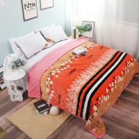 Sleepy Bear 法兰绒盖毯夹棉珊瑚绒床单人宿舍学生毯子四季加厚防滑保暖毛毯被