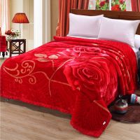 Sleepy Bear 拉舍尔双层加厚毛毯绒毯单双人毯子秋冬季婚庆双面绒盖毯喜被