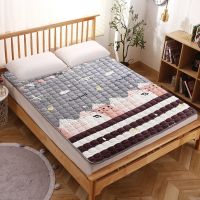 Sleepy Bear 床垫家用双人1.8m床护垫冬季加厚保暖法兰绒床褥垫子学生宿舍0.9m