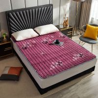 Sleepy Bear 水晶绒床垫加棉加厚可机洗防滑床褥床罩学生宿舍护垫榻榻米软床垫