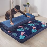 Sleepy Bear 床垫加厚单双人1.5/1.8米床垫子 学生宿舍睡垫榻榻米打地铺床褥子