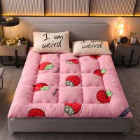 Sleepy Bear 羊羔绒床垫双人软垫加厚冬季单人学生宿舍家用榻榻米打地铺床褥子