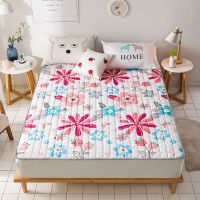 Sleepy Bear 可机洗床垫床护垫榻榻米防滑保护垫床褥子1.5/1.8m单双人学生宿舍