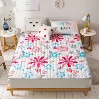 Sleepy Bear 可机洗床垫床护垫榻榻米防滑保护垫床褥子1.5/1.8m单双人学生宿舍