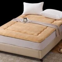 Sleepy Bear 加厚学生宿舍床垫榻榻米四季垫单人双人床垫子可折叠褥子上下铺垫