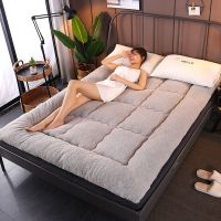 Sleepy Bear 加厚保暖羊糕绒榻榻米学生宿舍床垫0.9m垫被单人双人1.5米/1.8米