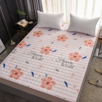 Sleepy Bear 四季防滑床垫可水洗床护垫可机洗榻榻米单双人可折叠宿舍床褥