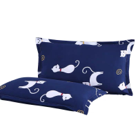 Sleepy Bear 枕套枕头套一对单人情侣学生宿舍成人可爱枕套简约四季枕皮枕头套