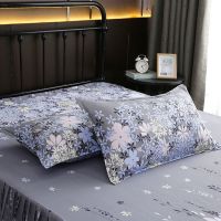 Sleepy Bear 枕套一对[2只装]加厚磨毛枕头套子学生宿舍枕芯套枕巾单人